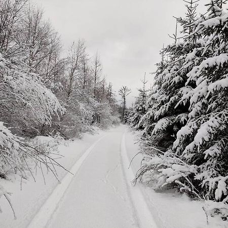 Stuga I Naturskoena Mittskane Höör Exterior foto